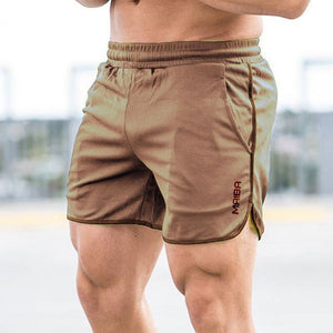 Polyester Shorts