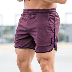 Polyester Shorts