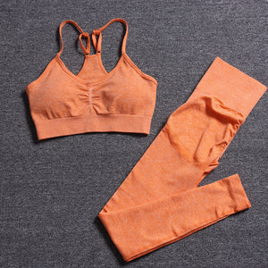 Seamless Yoga Set