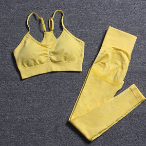 Seamless Yoga Set