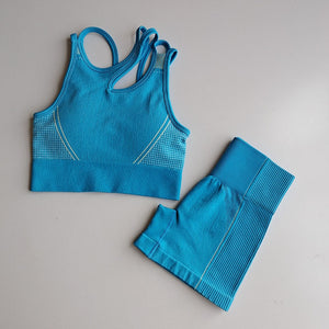 High Waisted Shorts & Top Set
