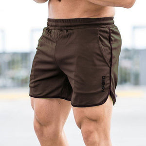 Polyester Shorts