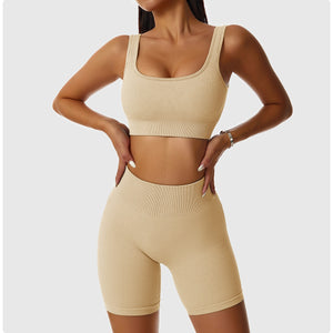 2 Piece Legging/Biker Short & Top Set