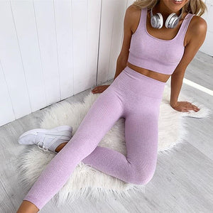 2 Piece Legging/Biker Short & Top Set