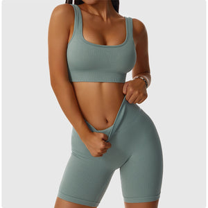 2 Piece Legging/Biker Short & Top Set